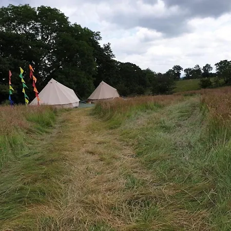 Leaping Water Bell Tent - Love Zone Campingplads
